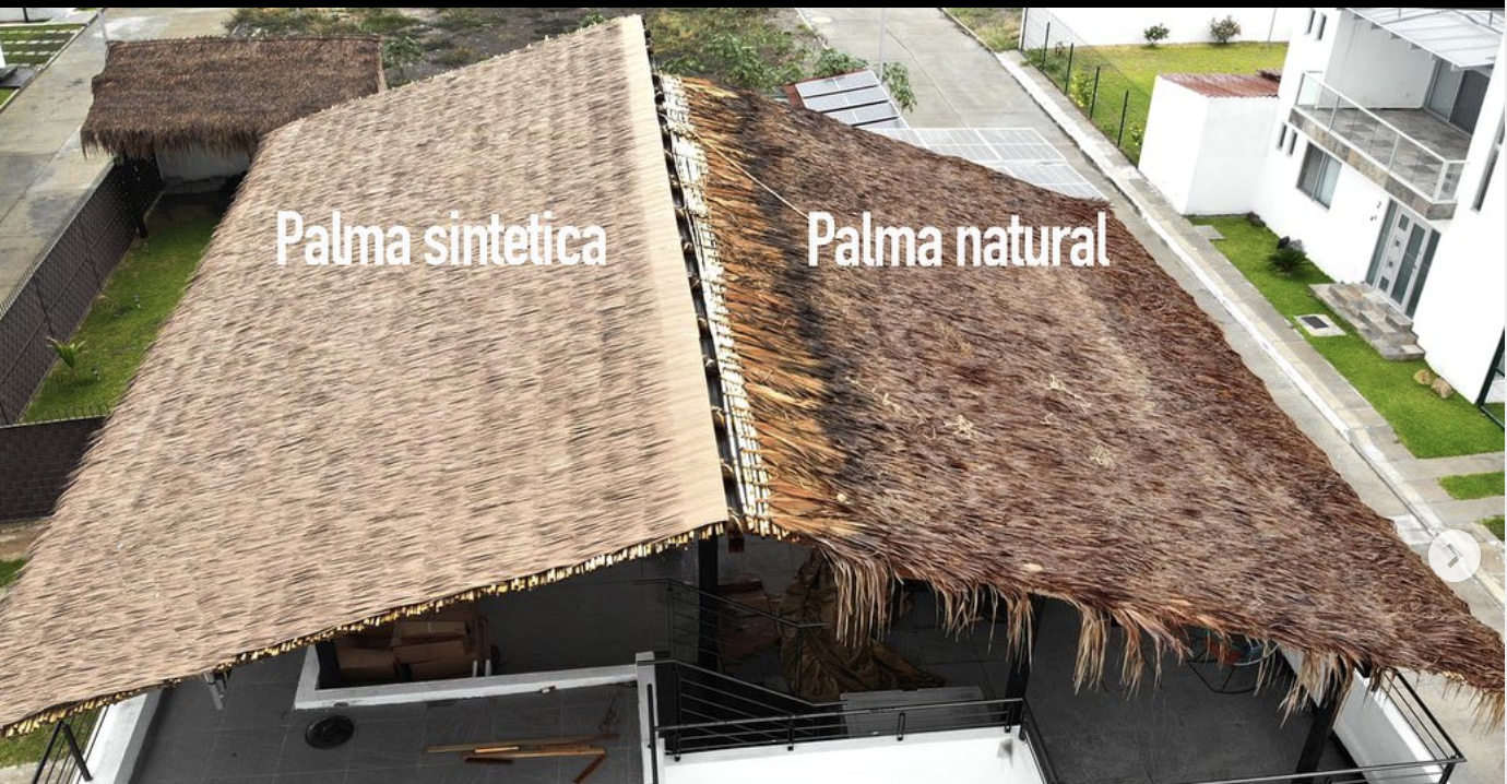 COMPARATIVA ENTRE PALMA NATURAL Y SINTÉTICA